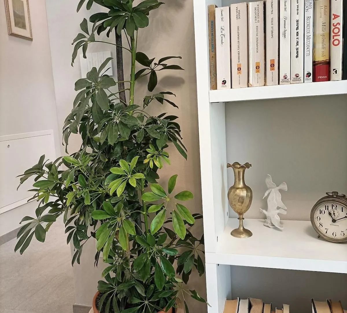 Annunziata Relax Villa Lucca Holiday home